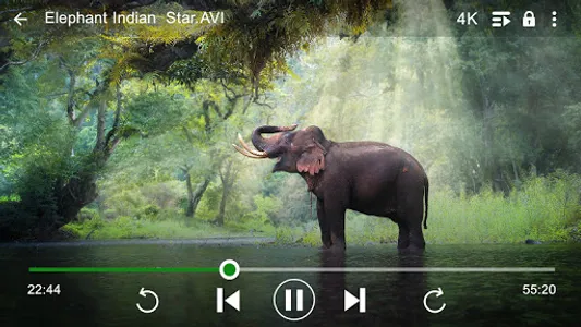 Tika Tika Indian Player screenshot 8