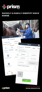 Prism Plus screenshot 1