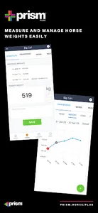 Prism Plus screenshot 3