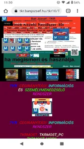 Bjsoft Web Store screenshot 22