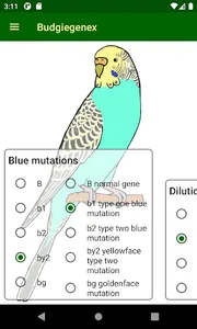 Budgiegenex screenshot 2