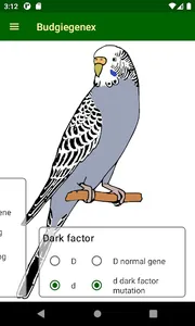 Budgiegenex screenshot 3