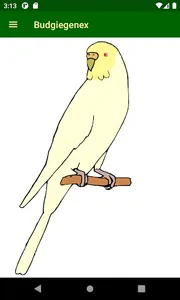 Budgiegenex screenshot 4
