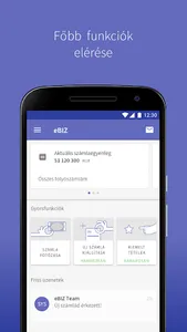 eBIZ - Digitális Pénzügyi Assz screenshot 1