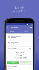 eBIZ - Digitális Pénzügyi Assz screenshot 2