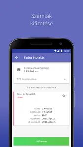 eBIZ - Digitális Pénzügyi Assz screenshot 3