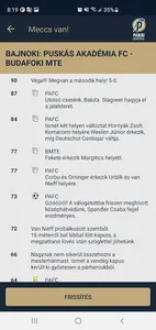 Puskás Akadémia screenshot 1