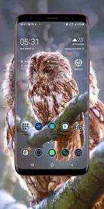 Owl Wallpaper screenshot 10