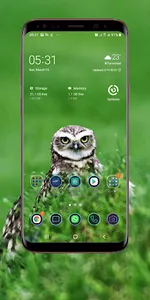 Owl Wallpaper screenshot 12