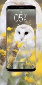 Owl Wallpaper screenshot 13