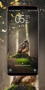 Owl Wallpaper screenshot 23