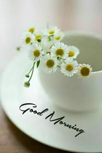 Good Morning & Flowers - Image screenshot 2