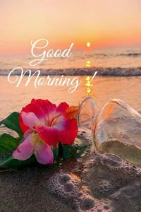 Good Morning & Flowers - Image screenshot 4
