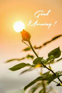 Good Morning & Flowers - Image screenshot 7