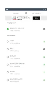 Indonesian Regional Dictionary screenshot 2
