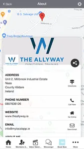THE ALLYWAY screenshot 1