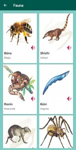 Shipibo screenshot 6