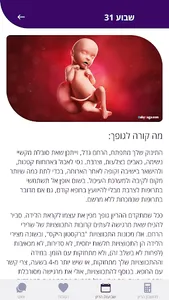 מחשבון הריון ושבועות - יולדת screenshot 2