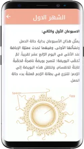 نمو الجنين screenshot 1