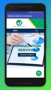 Meridian Market Consultants screenshot 0