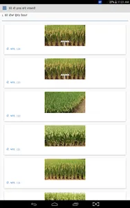 Paddy DSS screenshot 5