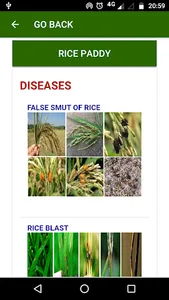 Naga Farm Doctor screenshot 6