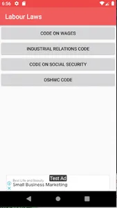 New Indian Labour Laws screenshot 0