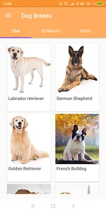 Dog Breeds screenshot 1