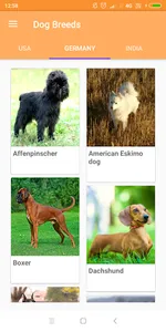 Dog Breeds screenshot 2