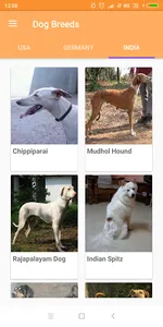 Dog Breeds screenshot 3