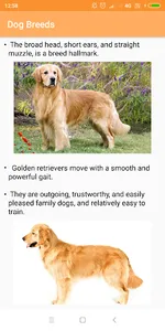 Dog Breeds screenshot 4