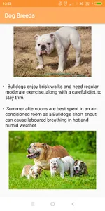 Dog Breeds screenshot 5