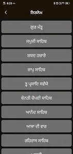Live Kirtan - Sunder Gutka screenshot 5