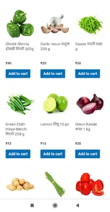Shop in Pocket Ambajogai | Gro screenshot 2