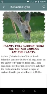 Bio Chemistry screenshot 1