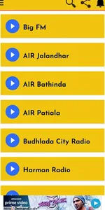 Indian Radios-Hindi & Punjabi  screenshot 1
