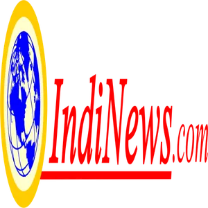 indinewsline screenshot 0