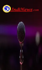 indinewsline screenshot 3
