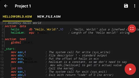 Assembly Compiler & IDE screenshot 35