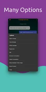 Llama 405B AI Chatbot screenshot 3