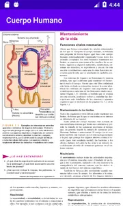 Cuerpo Humano screenshot 1