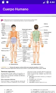 Cuerpo Humano screenshot 2