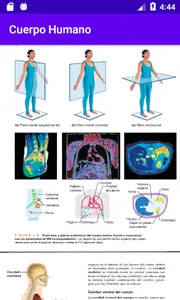 Cuerpo Humano screenshot 3