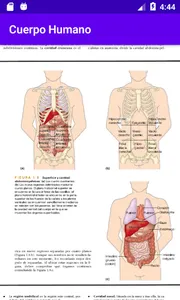 Cuerpo Humano screenshot 4