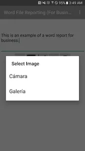 Word File Reporting (For Busin screenshot 7