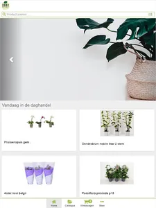 IBH-Export Shop screenshot 5