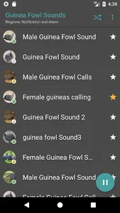 Guinea Fowl Sounds & Calls screenshot 1