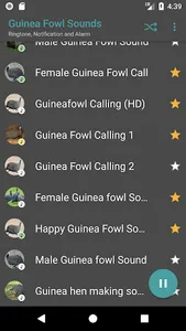 Guinea Fowl Sounds & Calls screenshot 2