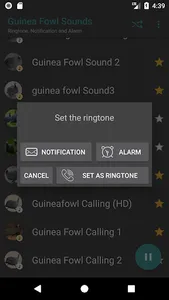 Guinea Fowl Sounds & Calls screenshot 3