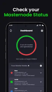 Beldex Masternode Monitor screenshot 1